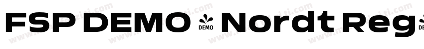 FSP DEMO - Nordt Reg字体转换
